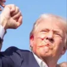 Affordable OWB insulated line options for 56ft stove run