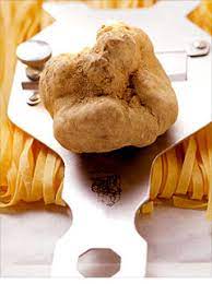 The World S Priciest Foods White Truffles 2 Small Business