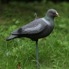 Birds are normally afraid of owls, as well as many other birds and predators. Realistic Pigeon Decoy Weed Pest Control Garden Pigeon Scarer Scarecrow Buy From 12 On Joom E Commerce Platform