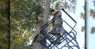 For the price and quality was the best choice hands down. Review The Only Ladder Stand You Ll Want This Hunting Season Shoot On