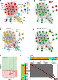 La rumeur de l'homosexualité de thomas va vite se. Assessing The Binding Properties Of The Anti Pd 1 Antibody Landscape Using Label Free Biosensors