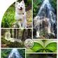 Animal & Nature Communication event image