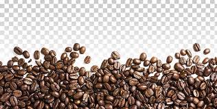 Coffee Bean Iced Coffee Png Bean Coffee Coffee Beans Coffee Preparation Coffee Roasting Coffee Png Coffee Beans Coffee Preparation