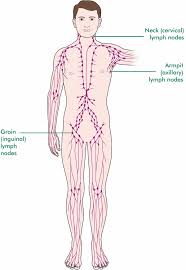 Early on, cervical cancer may not cause signs and symptoms. What Happens When Cancer Spreads To The Lymph Nodes Macmillan Cancer Support