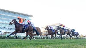 Viptoriaa of leaks this babe, Hayley, is a great talker and