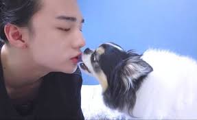 Hyunjin and his dog Kkami ❤️ န်င်် 全作県焼開号 mMMN