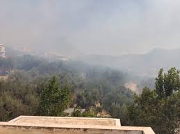 360 συνοδοί σε ελλάδα διαθέσιμες τώρα, κριτικές για πουτάνες από πραγματικούς πελάτες και βίντεο για να τις δείτε χωρίς επεξεργασία στις φωτογραφίες τους. D0bho9yjy6ys8m
