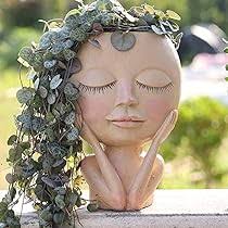 JYTTI Praying Face Planter, Brown Face Flower Pot Head Planter, Face  Planters Pots Head, Unique Planters for Indoor Outdoor Plants, Plant Pots,  No Succulents : Amazon.ca: Patio, Lawn & Garden