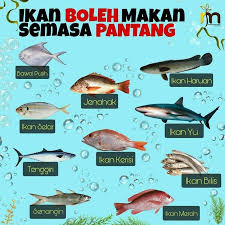 Check spelling or type a new query. Penjual Ikan Baru Beaufort Posts Facebook