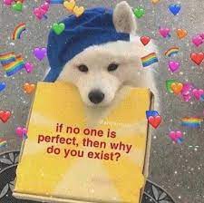 You guys have made lolcats the biggest cat meme gallery on the internet by adding more and more cat memes to it every single day. You Re All Amazing R Wholesomememes Wholesome Memes Know Your Meme