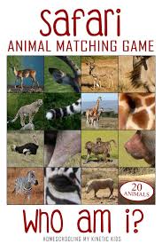 *if there is an issue playing the game, you may be missing a plugin or need a different browser! Who Am I African Safari Matching Game And 3 Part Cards