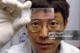 3,521 Pat Daily Stock Photos, High-Res Pictures, and Images