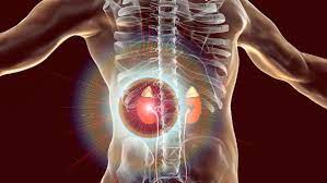 End stage renal disease, or kidney failure, occurs when the kidneys do not work effectively enough what to know about end stage renal disease. Kidney Disease Symptoms Causes Failure Diagnosis Kidney Specialist Singapore Nephrologist Renal Disease Treatment Francisco Kidney Medical Centre