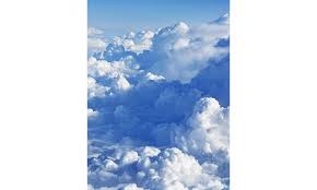 Frank Anthony Douillard Obituary (2022)