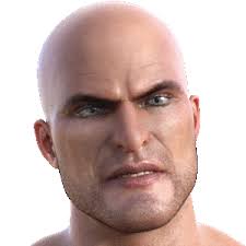 WMMA 5 Rerender Project