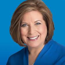 Productivity for How You're Wired: Better Work. Better Life.: Faye, Ellen:  9798218054342: Amazon.com: Books