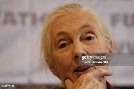 88 Jane Hoffmann Stock Photos, High-Res Pictures, and Images