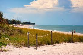 Image result for Sandy Beach 2013 Captiva