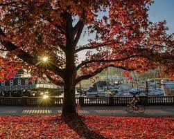 pin on صور كندا