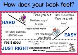 just right books anchor chart by megan adamson tpt