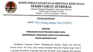 Bank indonesia memiliki beberapa jalur penerimaan pegawai, diantaranya pcpm, mle, pkwt, dan jalur staf. Formasi Cpns Aceh Utara 2019 Pdf Npwp