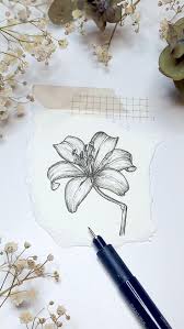 Maggie Steyn (maggiesteyn)