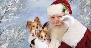 Watch a puppy for christmas 2016 online free and download a puppy for christmas free online. Christmas Puppies What You Should Know Before You Buy