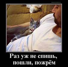 Демотиваторы. - bigmir)net