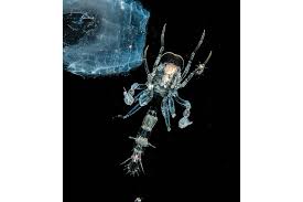 Image result for Cystostemon