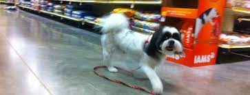 Walgreens pharmacy at 5900 knight arnold rd in memphis, tn. The 15 Best Pet Stores In Atlanta