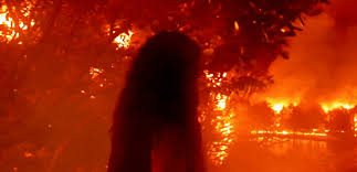 Log in to save gifs you like, get a customized gif feed, or follow interesting gif creators. Bulbul Review An Indulgent Fantasy Painted In Reds And Pinks Slices From Life