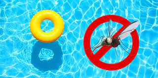 How much does it cost to get rid of mosquitoes in a pool? How To Get Rid Of Mosquito Larvae In Pools Expert Guide Mosquitofixes