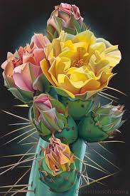 Golden barrel cacti (echinocactus grusonii) start out almost perfectly round and grow more oval in shape as they slowly expand. Rooted And Established In Love Prickly Pear Cactus Blooms And Buds Dyana Hesson