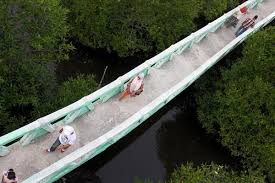 Meski punya banyak kesamaan, negara malaysia tetap menjadi salah satu destinasi favorit untuk liburan orang indonesia. Hutan Mangrove Sebagai Benteng Daratan Satu Harapan