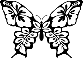 Butterfly Flower Line Art Icons Png Free Png And Icons Downloads