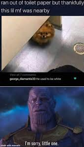 Maybe you would like to learn more about one of these? I Am Sorry Little One Meme 250059 I M Sorry Little One Meme Generator