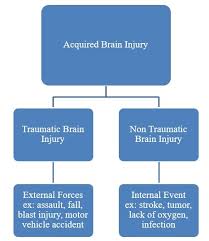 brain injury facts figures brain injury alliance of