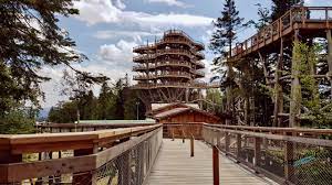 Doceniona została także w prestiżowym konkursie architektonicznym budowa roku, którego organizatorami są polski związek. Sciezka W Koronach Drzew I Wieza Widokowa W Krynicy Zdroju