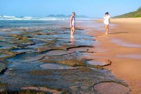 Accommodation listings available to book in ponta malongane. Malongane Mozambique 17 24 April Travels With Verne And Roy