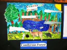 Biome Poster 3rd Grade Life Science Activities Teaching Science Biomes