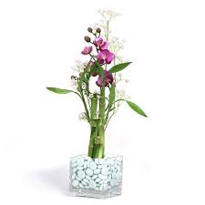 Lucky Bamboo Arrangement Silk Flower Accents Orchid Centerpieces Lucky Bamboo Plant Centerpieces