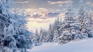 Windows Backgrounds Desktop Background Snow Download these snow background or photos and you can use them for many purposes, such as banner, wallpaper, poster background as well as powerpoint background and website background. windows backgrounds desktop background