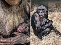 Maddi pann only a change for a favorable way experience