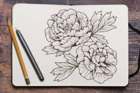 Download Line Drawing Peony Flower Graphic By Huapika Creative Fabrica