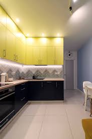 You can find these doors in budget. Yellow Kitchen Cabinets Houzz
