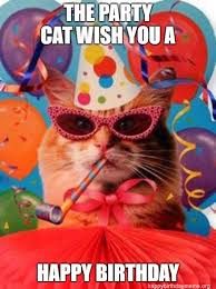 31 Funniest Cat Birthday Meme Funny Happy Birthday Meme Cat Birthday Memes Birthday Greetings Funny