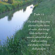 By The Rivers Of Water River Quotes Wonder Quotes Heartfelt Quotes