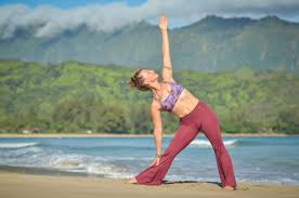 Maybe you would like to learn more about one of these? 200 Hr Foundational Yoga Training Teacher Certification Cloud Nine Yoga