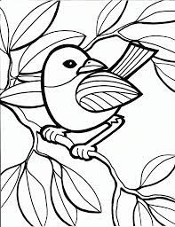 Add these free printable science worksheets and coloring pages to your homeschool day to reinforce science knowledge and to add variety and fun. Printable Coloring Book For Kids Bird Learning Printable Animal Coloring Pages Bird Coloring Pages Peacock Coloring Pages