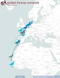 The wadden sea is famous for its rich flora and fauna, especially birds.hundreds of thousands of waders, ducks, and geese use the area as a migration stopover or wintering site. Global Flyway Network On Twitter The Migration Of Arctic Breeding Bar Tailed Godwits To Waddensea Staging Area In Full Swing Two Godwits In Dutch Part Of Worldheritage Area And One Bird Each In Nationalpark